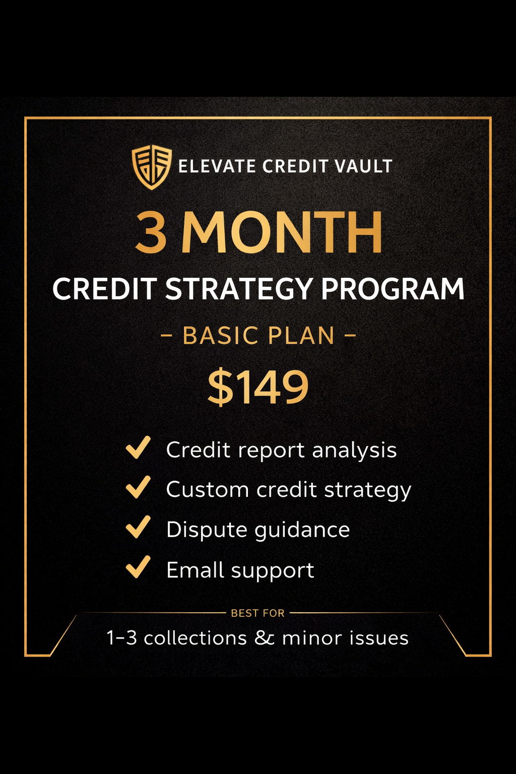 3 Month Credit Strategy Program – Basic Plan