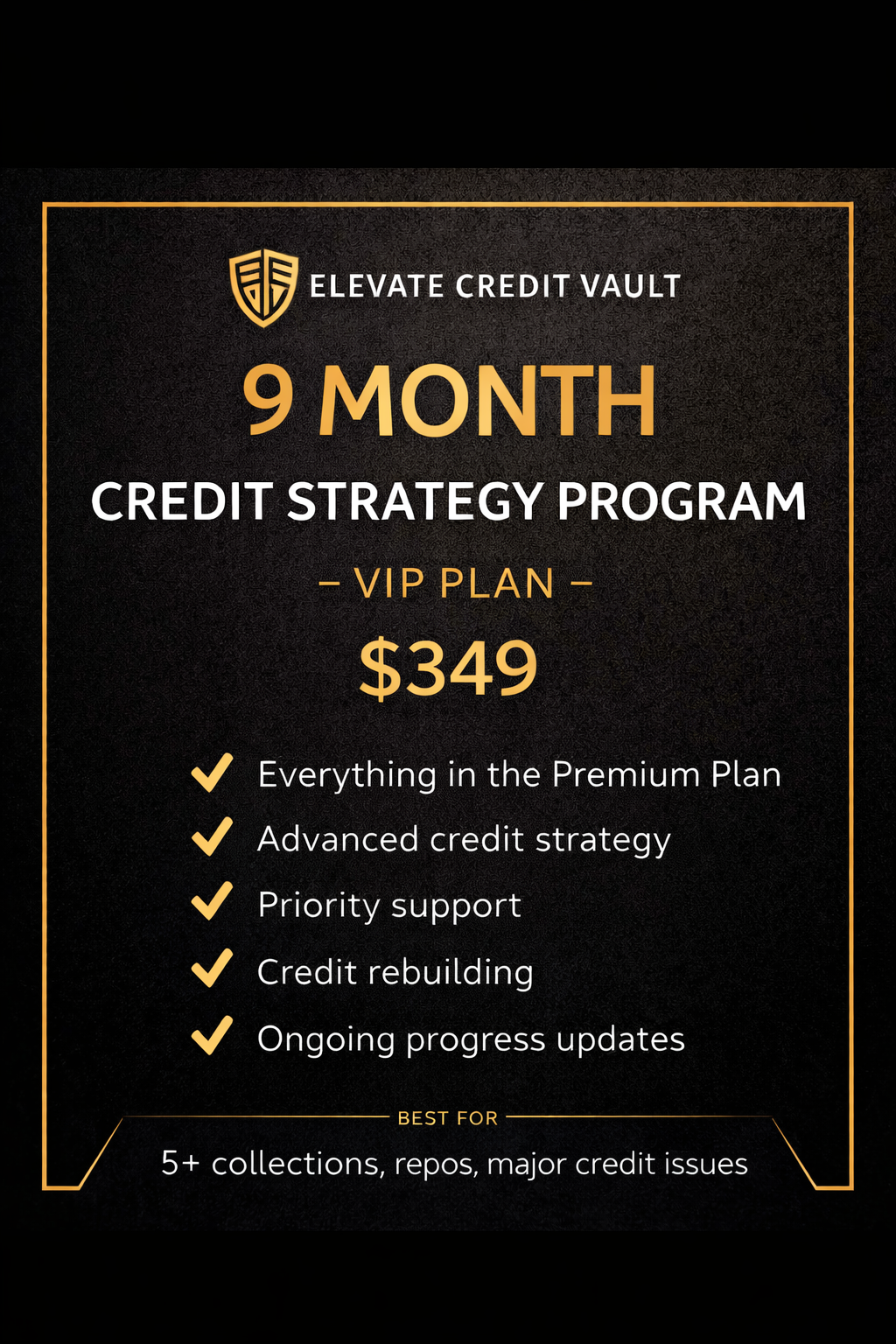 9 Month Credit Strategy Program – VIP Plan